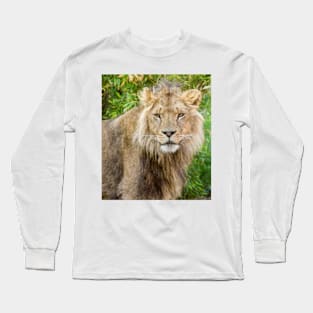 530 lion king Long Sleeve T-Shirt